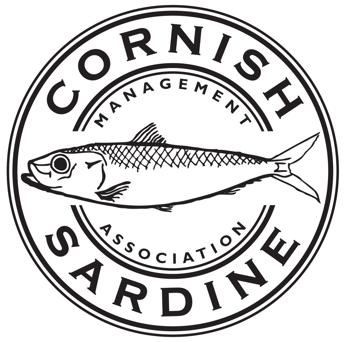 #TinnedFish #Canquet Bundle - SARDINES