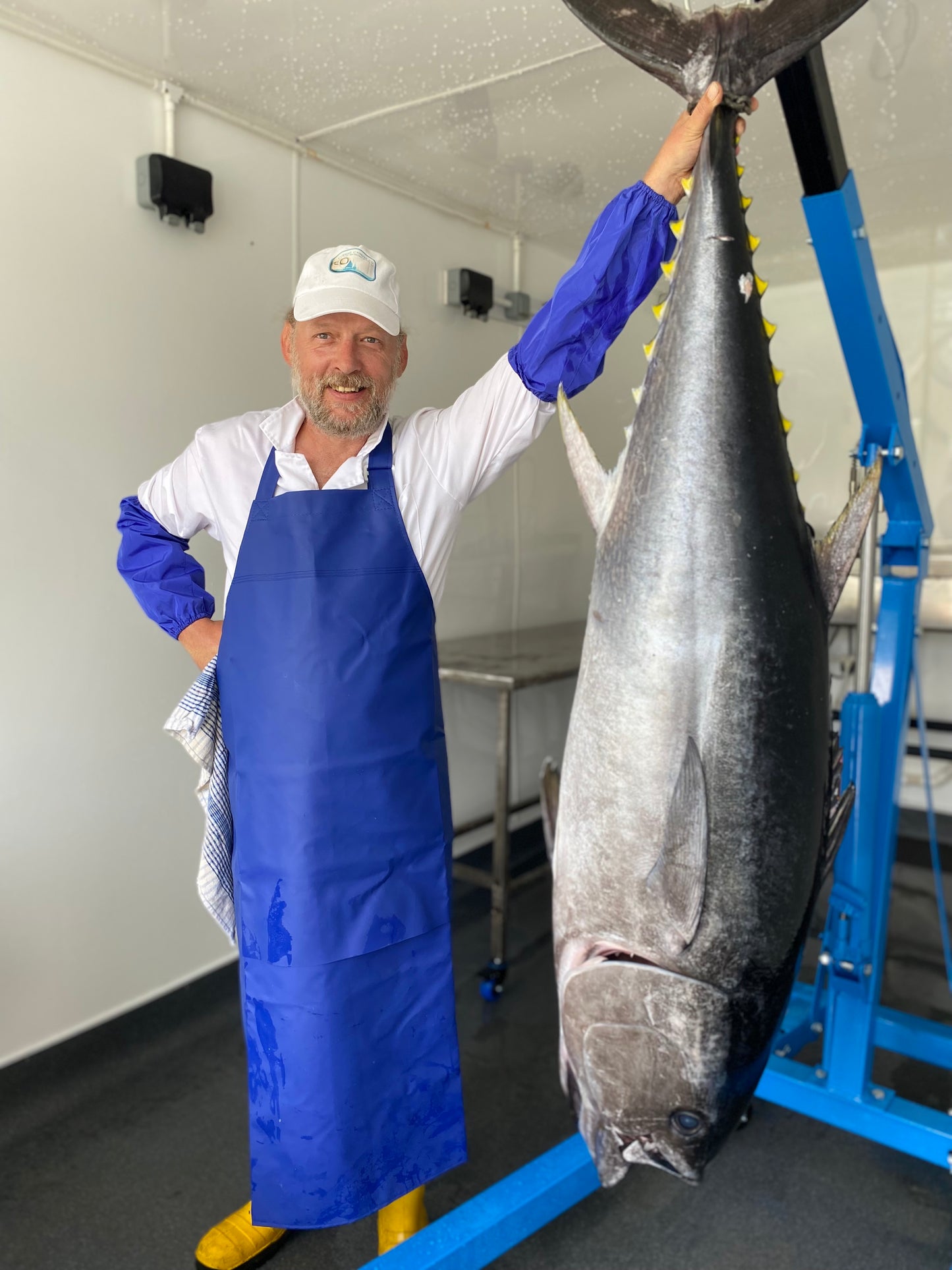 Cornish Bluefin Tuna - 'Rod & Line Caught'