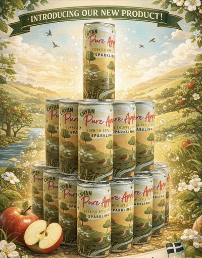 Chyan Pure Sparkling Apple Juice - 250ml Can