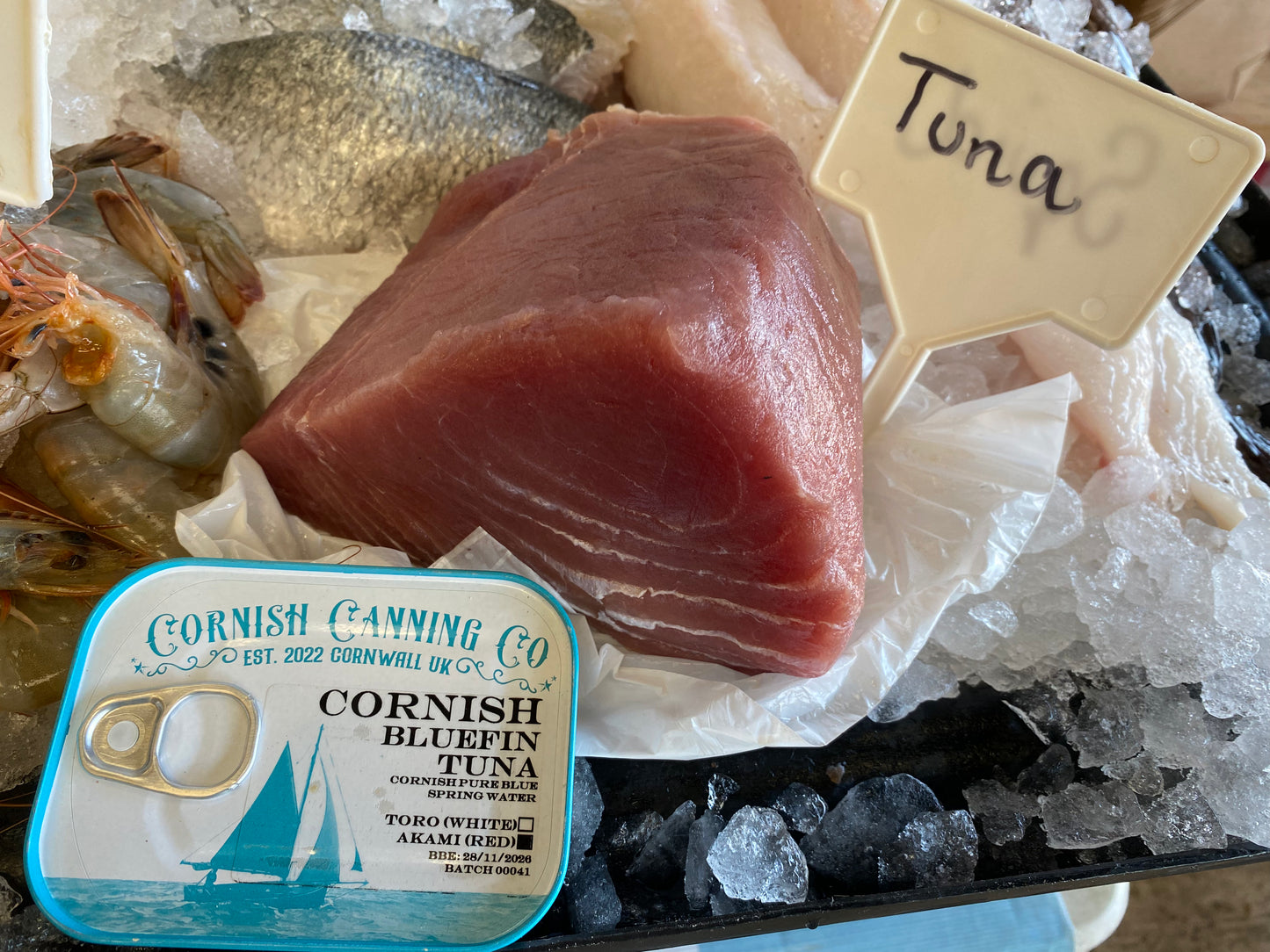 #TinnedFish #Canquet Bundle - BLUEFIN