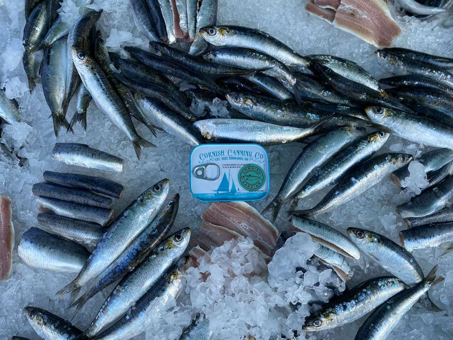 Cornish Sardine Fillets - 'Ring Net Caught' 'Sardina Pilchardus'